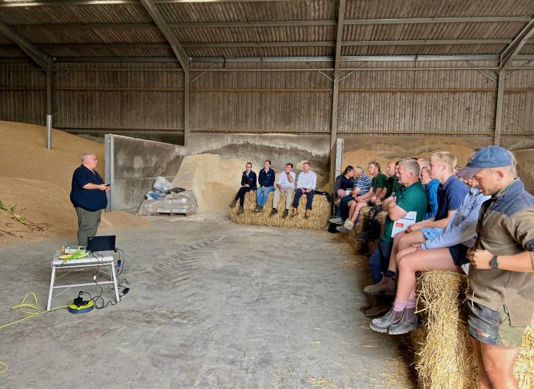 A Maize Masterclass