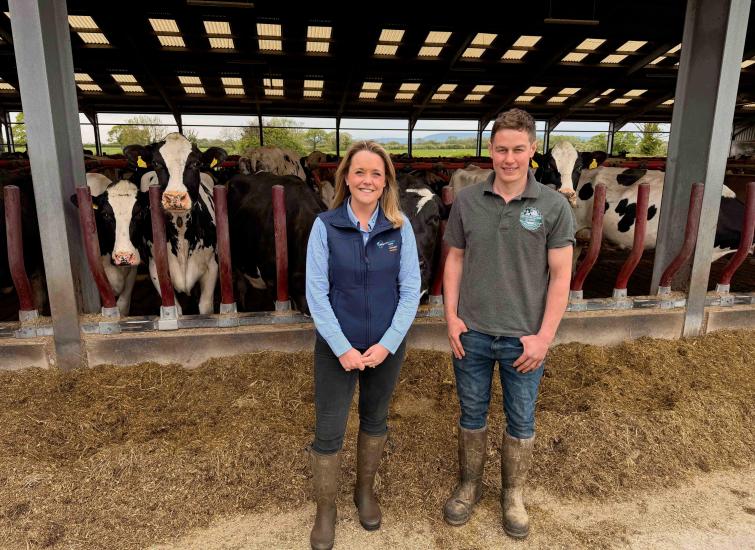 Improving feed efficiency through zero grazing and a balanced diet