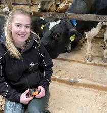 Early lameness prevention helps shape heifer success