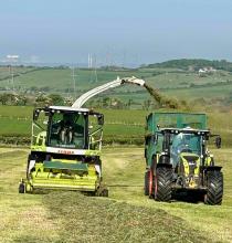 Should there be an extra silage cut?