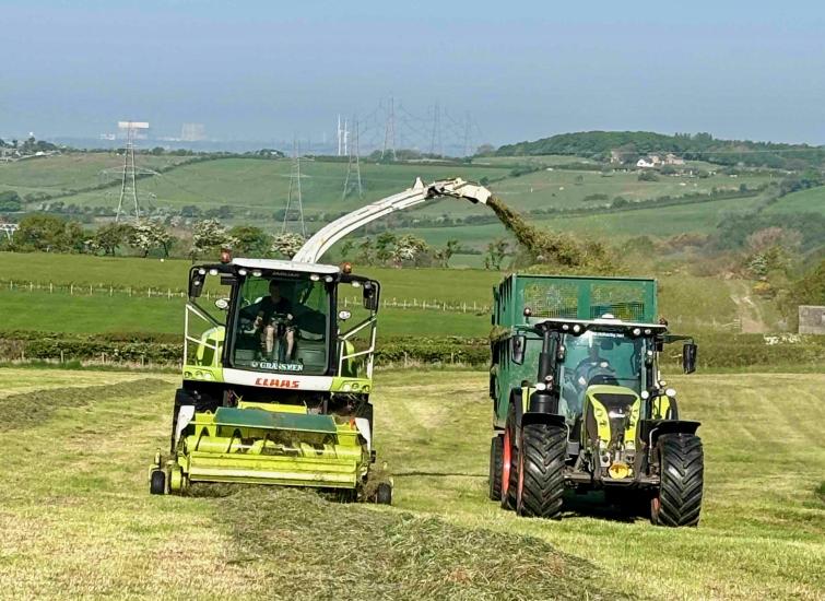 Should there be an extra silage cut?