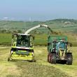 Should there be an extra silage cut?