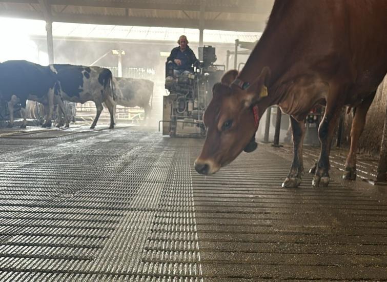 Focus on flooring for herd health