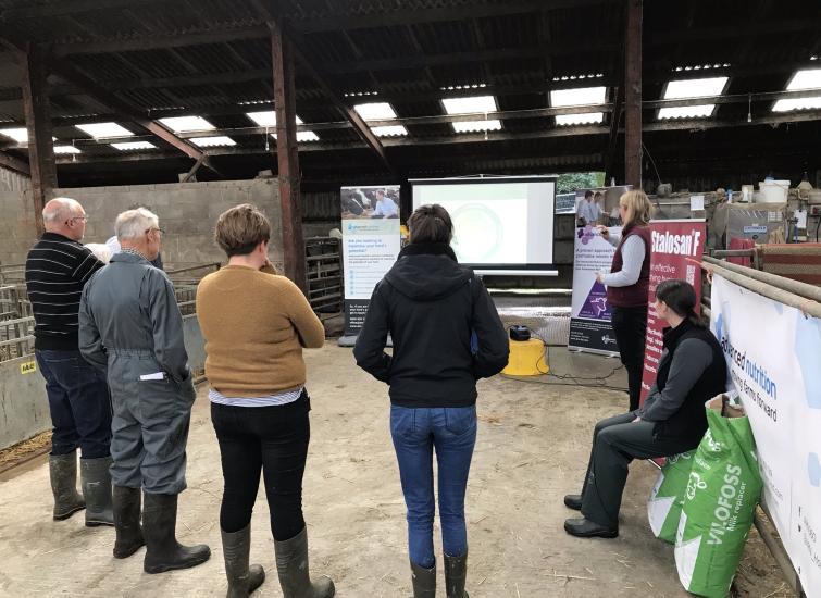 Liz Newman Discusses Heifer Rearing