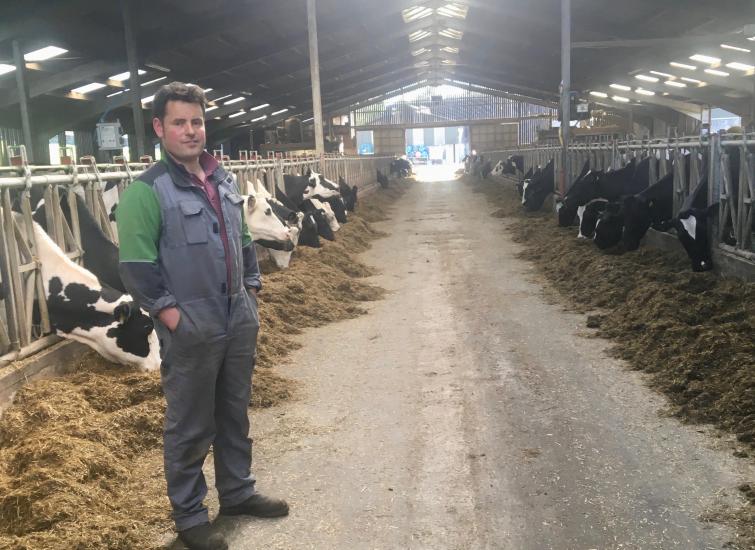 Utilising forage to improve animal health and milk yields