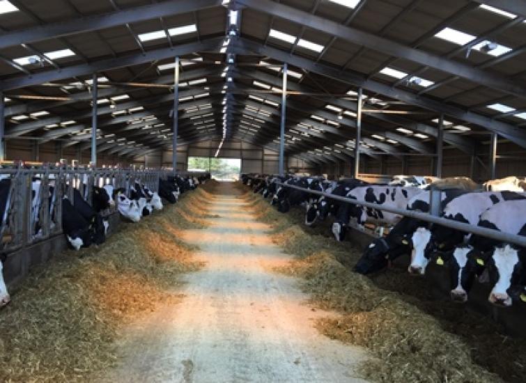 Improving silage efficiency