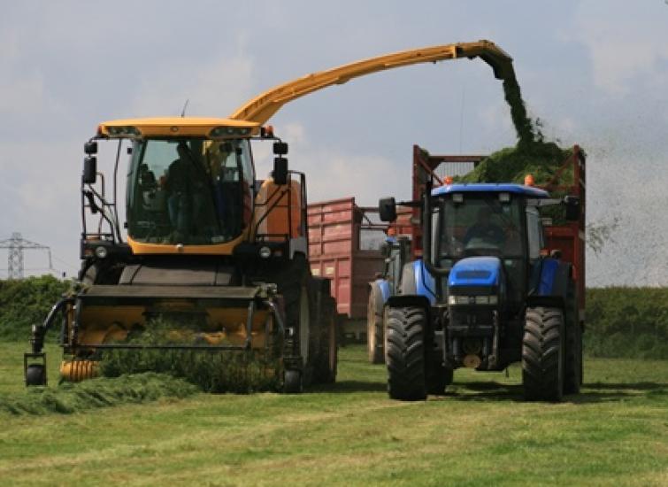 Exploiting grass to cut feed costs