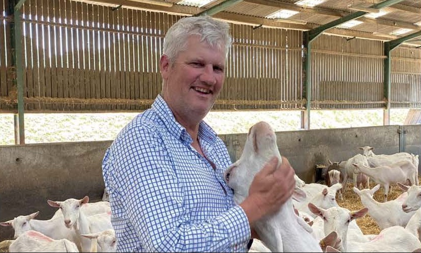 Home grown feeds and the right environment