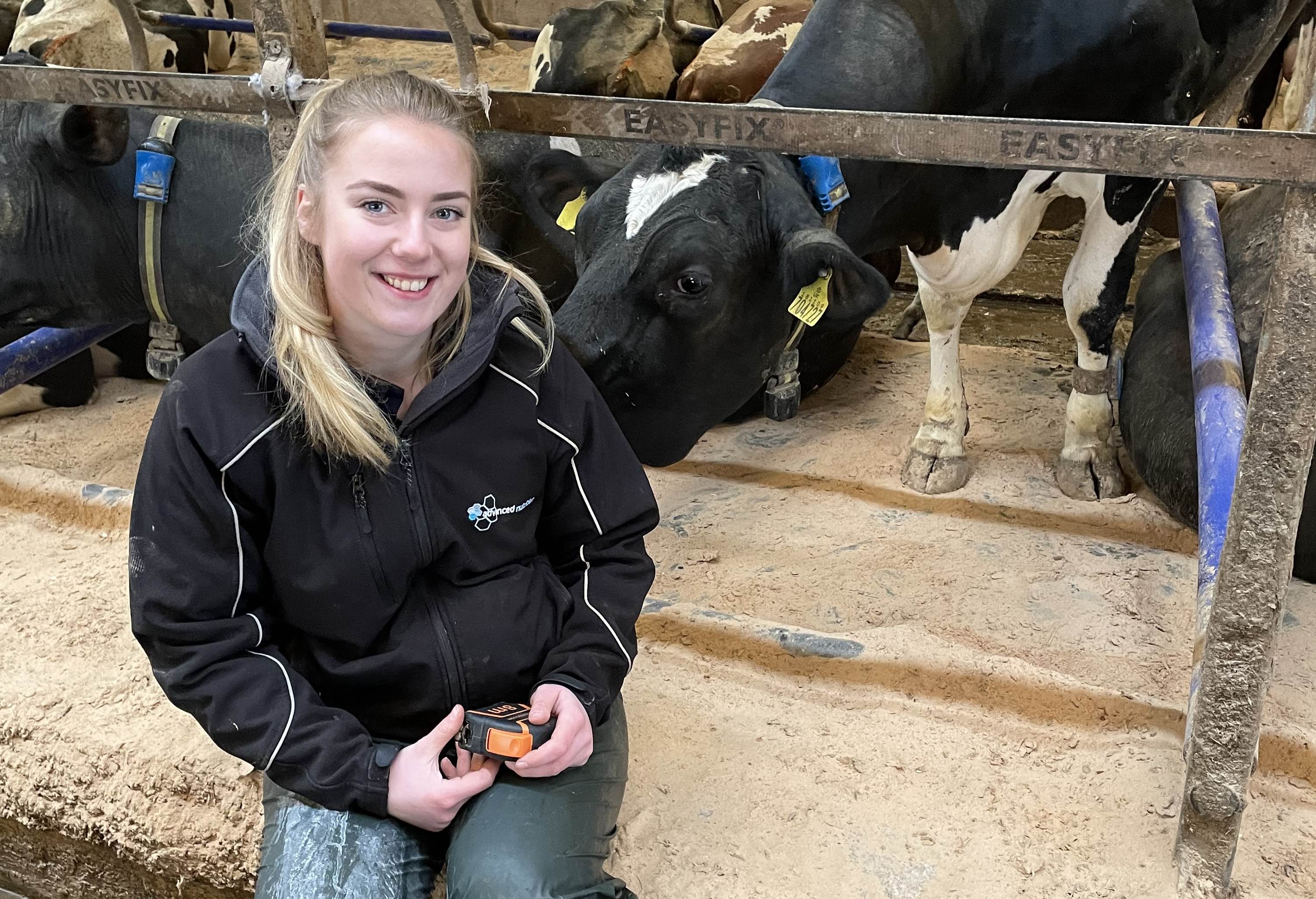 Early lameness prevention helps shape heifer success