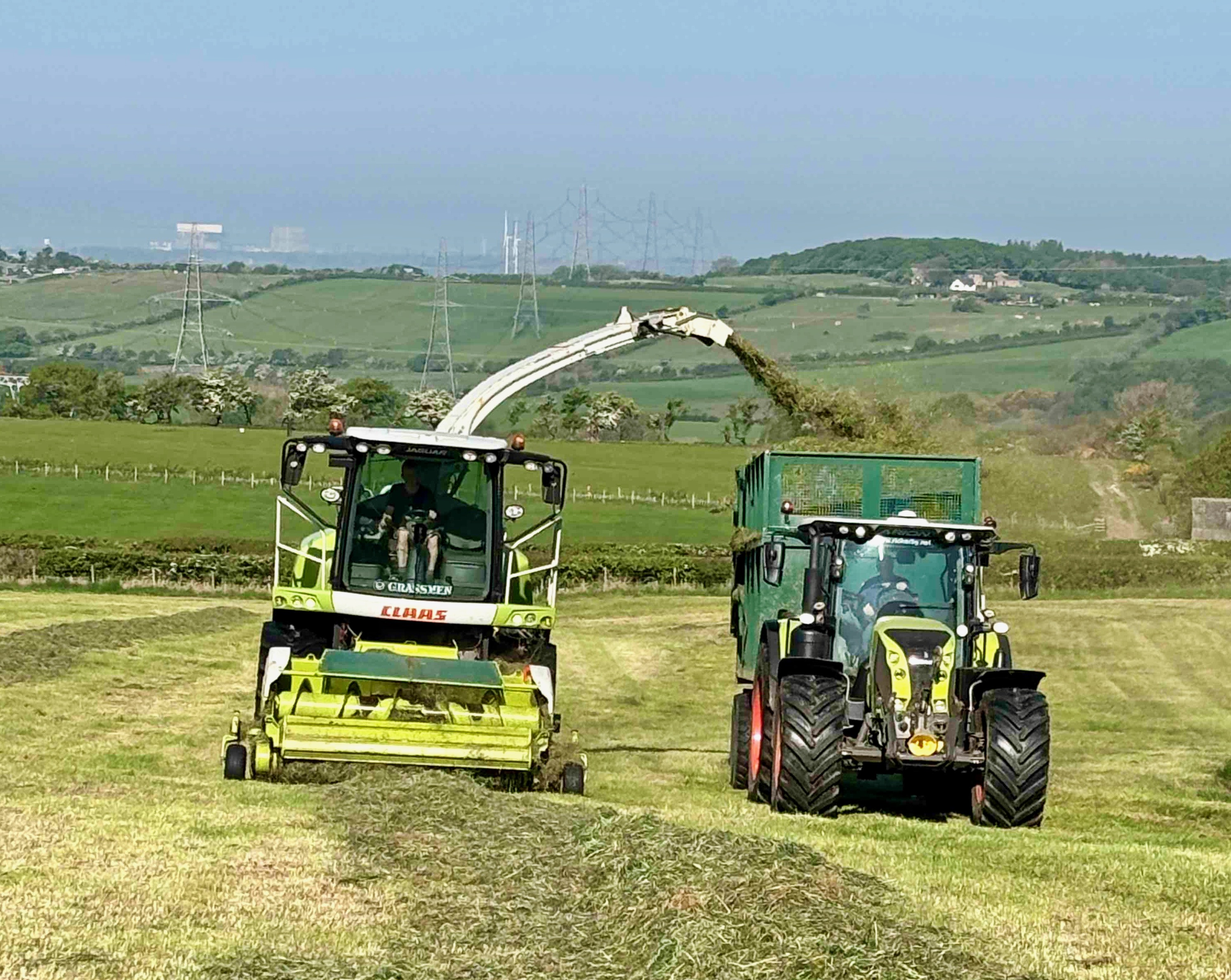 Should there be an extra silage cut?