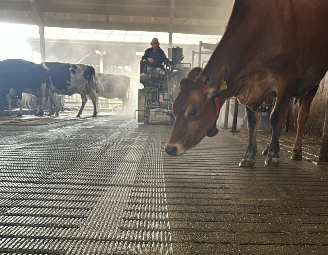 Focus on flooring for herd health