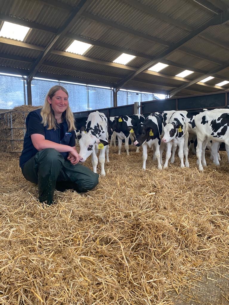 Managing calf environments to improve animal health and profitability