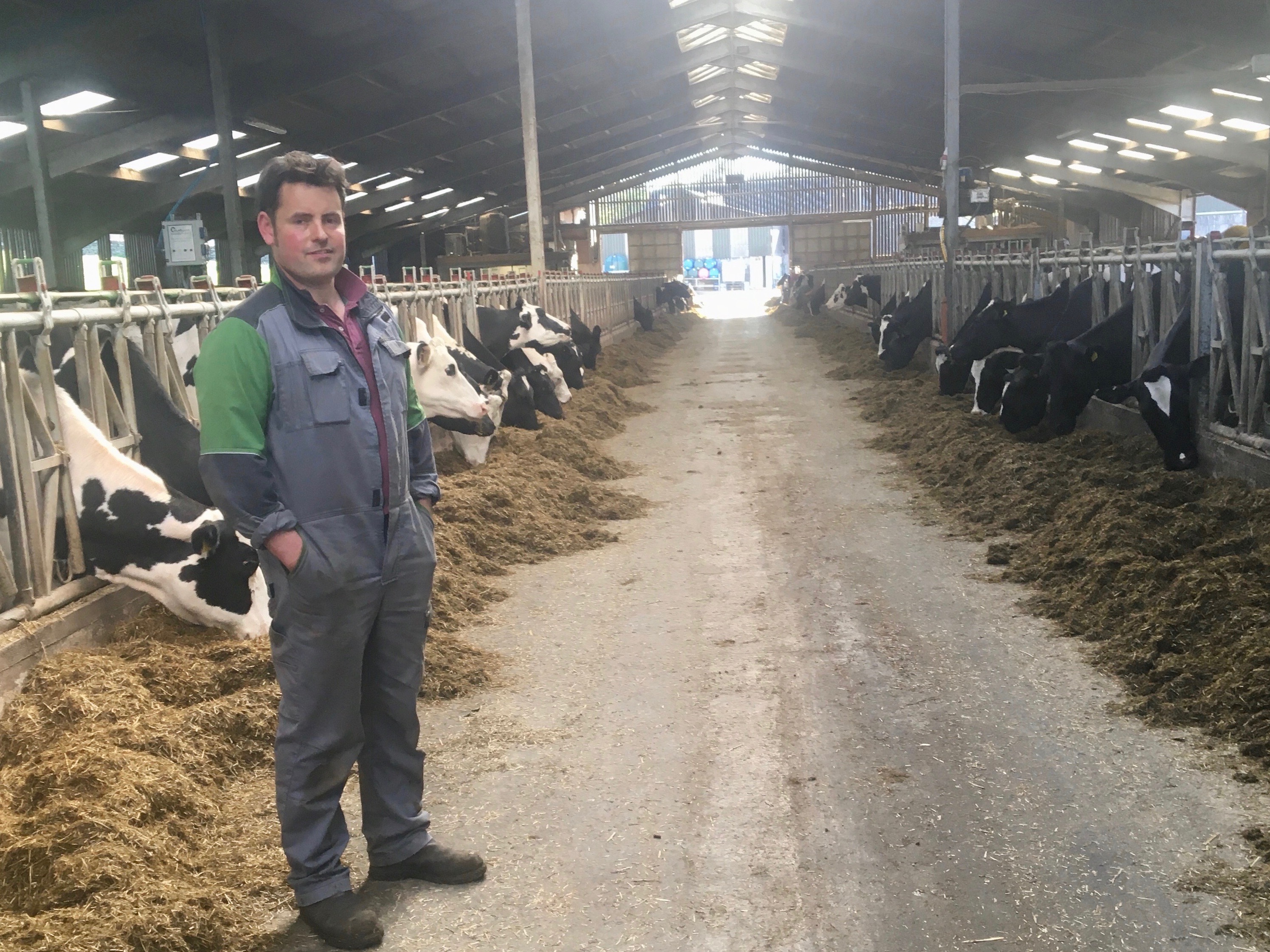 Utilising forage to improve animal health and milk yields