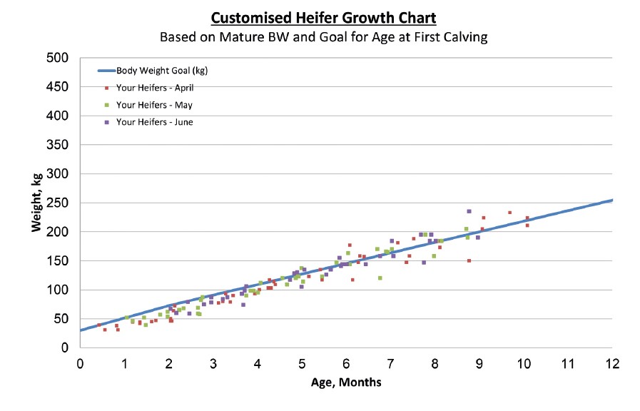 Pye Graph