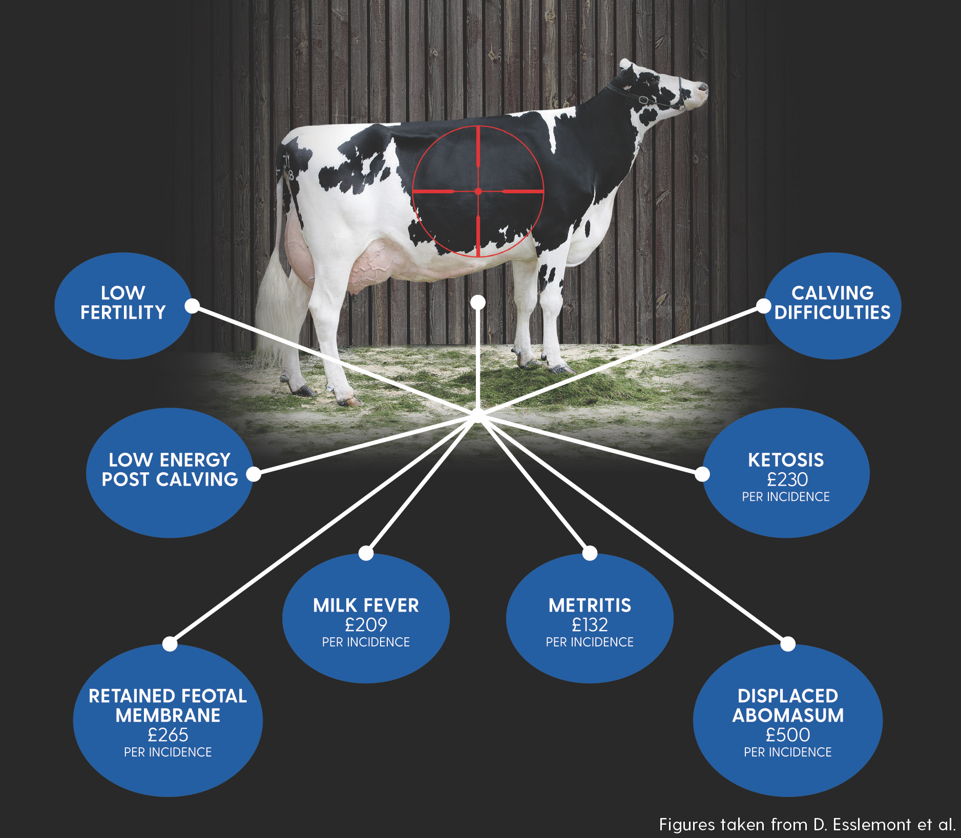 Why we need a perfect calcium balance at calving