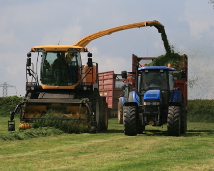 Dairy Focus - Milk from Forage