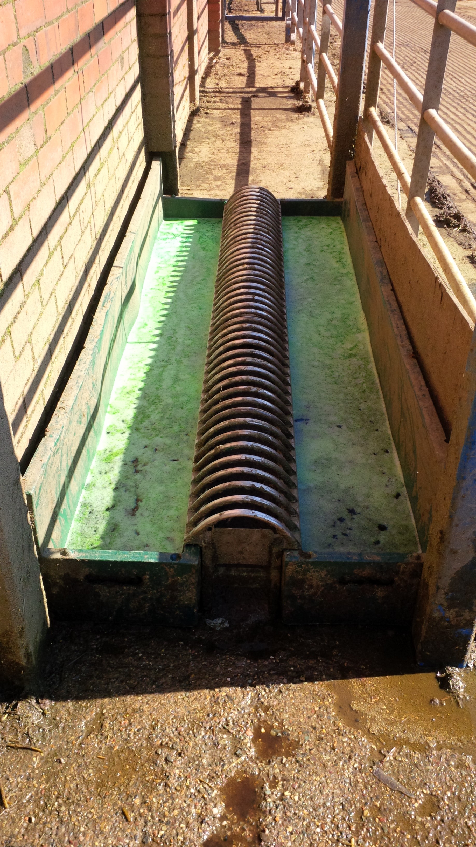 Advanced Ruminant Nutrition Ltd Footbath Treatments